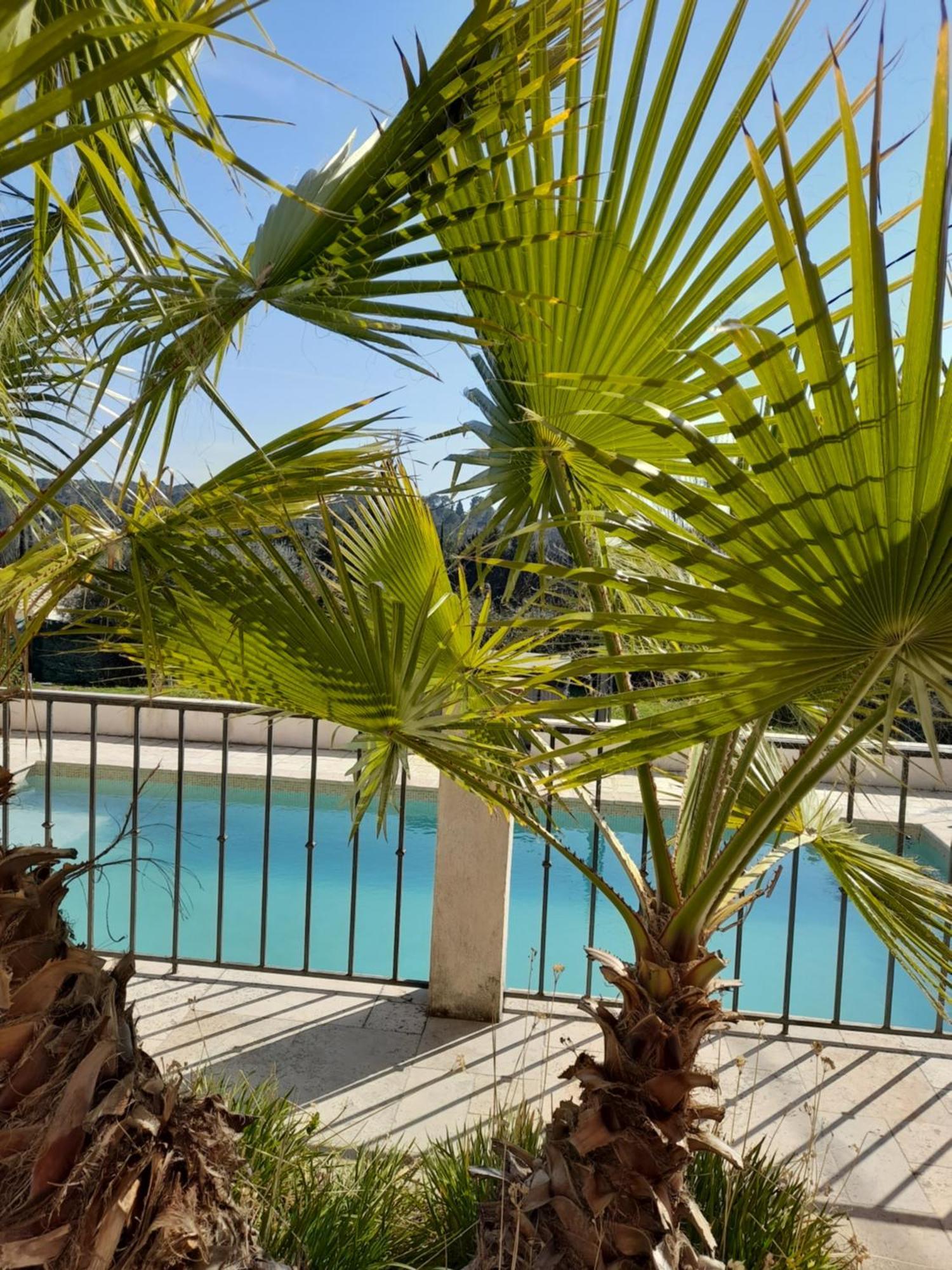 Villa Azur Lorgues Exteriér fotografie