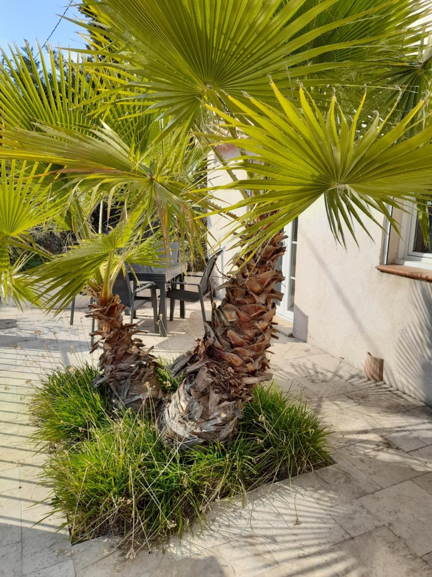 Villa Azur Lorgues Exteriér fotografie